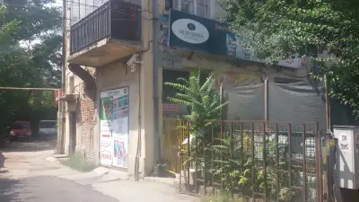 Зооборса Веден