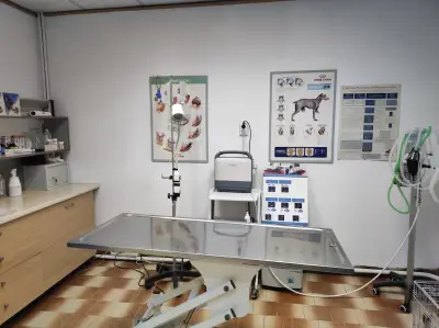 Ветеринарна клиника Viva Vet