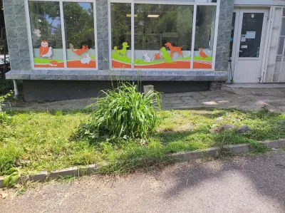 Ветеринарна клиника Лозенец Вет