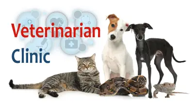 Ветеринарна Клиника СуперВет