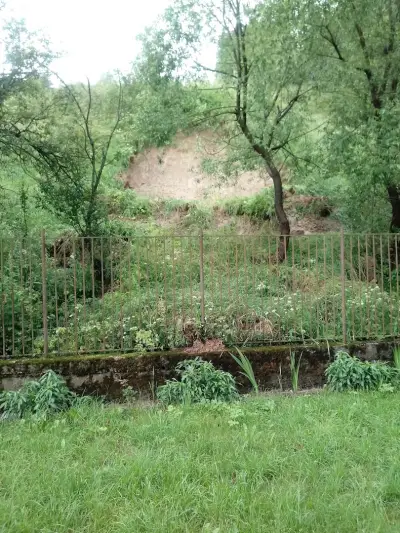 Ветеринарна Лечебница