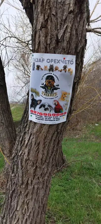 Ветеринарен кабинет Wild Pet