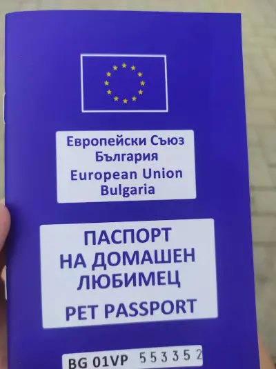 Доктор Венелин Желязков