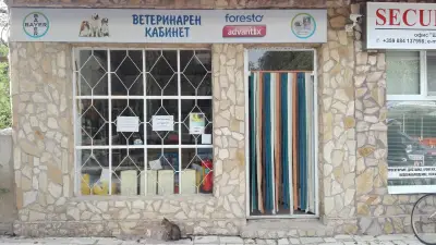 Ветеринарен кабинет РОЙО ВЕТ
