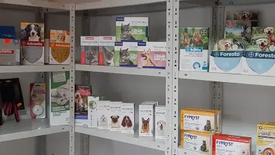 Ветеринарен кабинет РОЙО ВЕТ