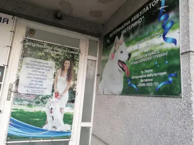 Ветеринарен кабинет Ветерино
