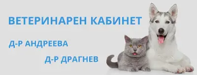 Ветеринарен кабинет Тити Вет