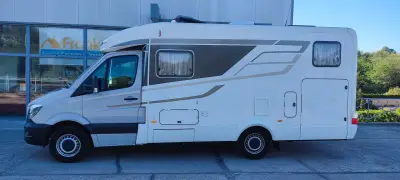 Багира ООД