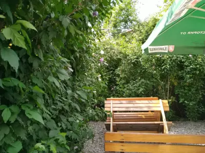 Грифона