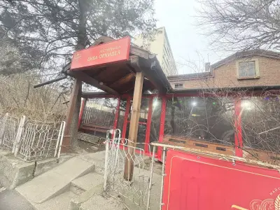 Дива Орхидея