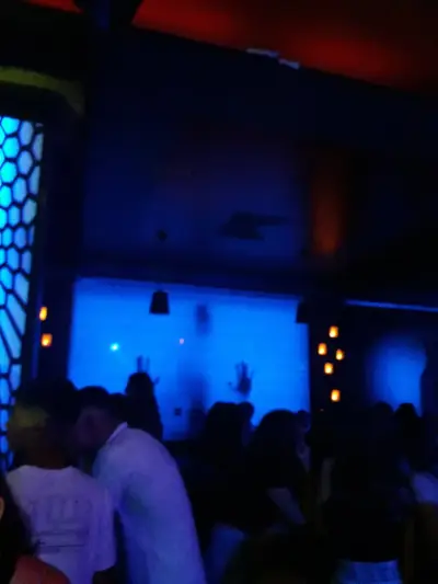 DOLCE Live Club