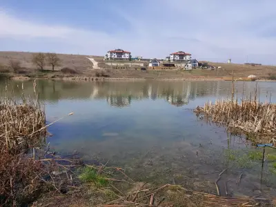 Подолог Варна - Медицински педикюр Варна. Лазерно лечение гъбички.