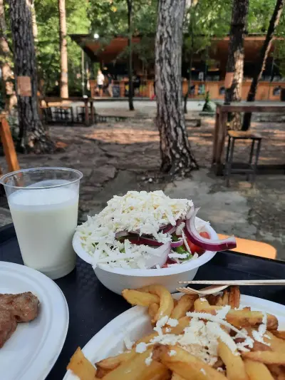 Маймунарника