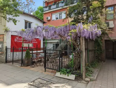 детски парти клуб Елмо
