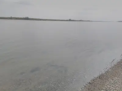 Дискотека "Чайка"