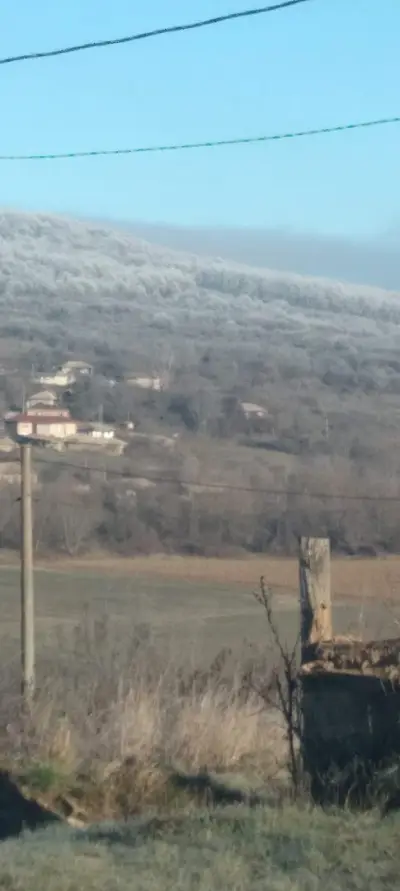Комплекс-МЕКО