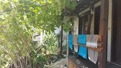 Хостел Пашов