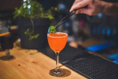 Bar Lotus