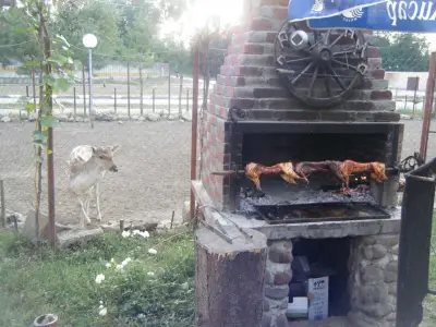 Снек Бар Панорама