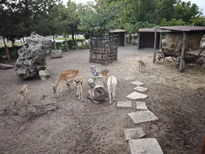 Снек Бар Панорама
