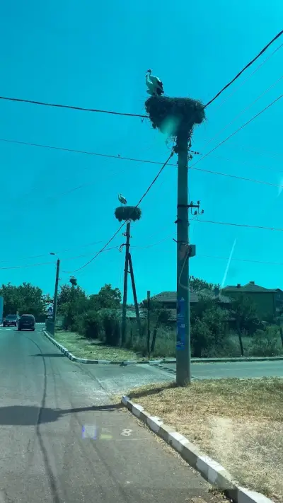 Снек бар Оазис
