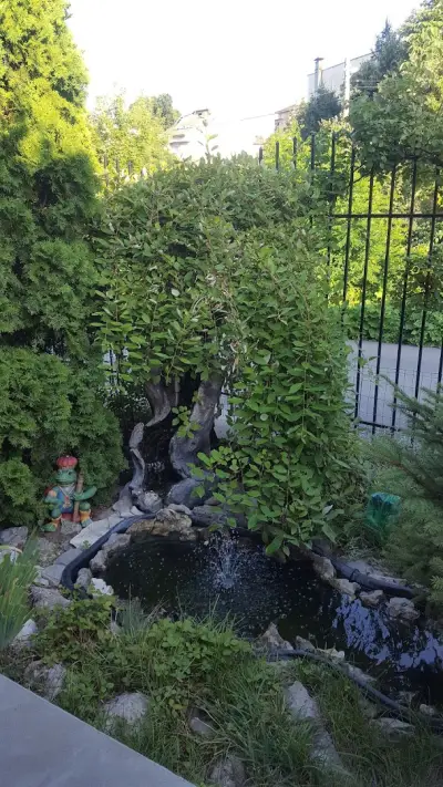 Restaurant garden " GUINNESS"
