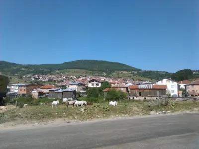 Наргиле Бар Илхан