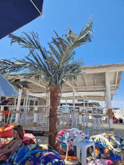Beach Bar SUMMER VIBE