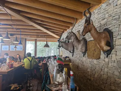 Bar 180°