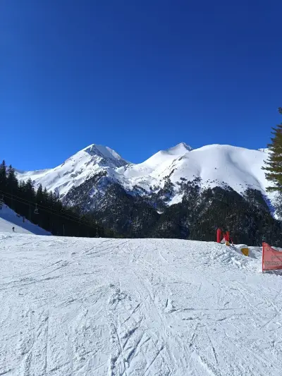 Alpine Bar