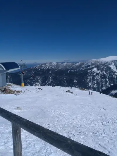 Alpine Bar