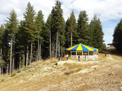 Alpine Bar