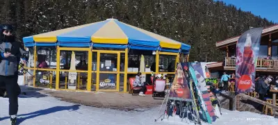 Alpine Bar