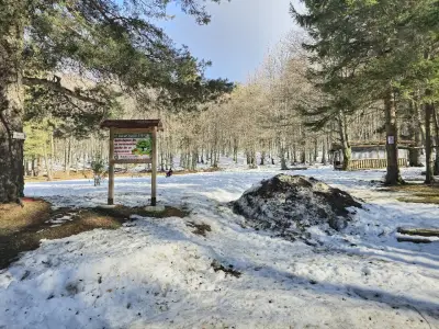 Хайдушка поляна