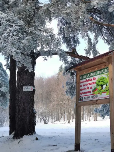Хайдушка поляна