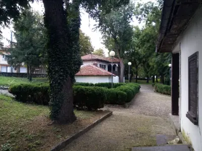 Румънски Музей Карол Първи