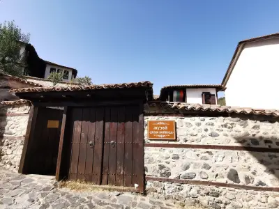 Музей Делю Войвода