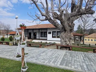 Родна къща музей Чудомир село Турия
