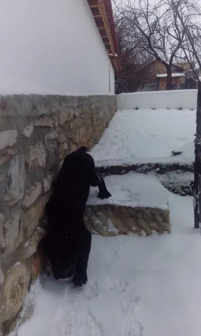 Паметник на Стефан Стамболов
