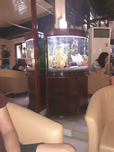 Маслината