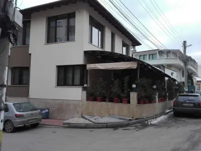 Маслината