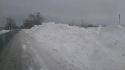 ПЕРИЛИС ТРЕЙДИНГ