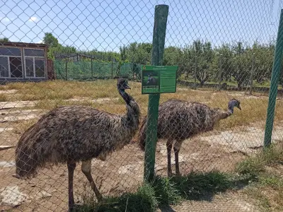 Зоокът Дъбница