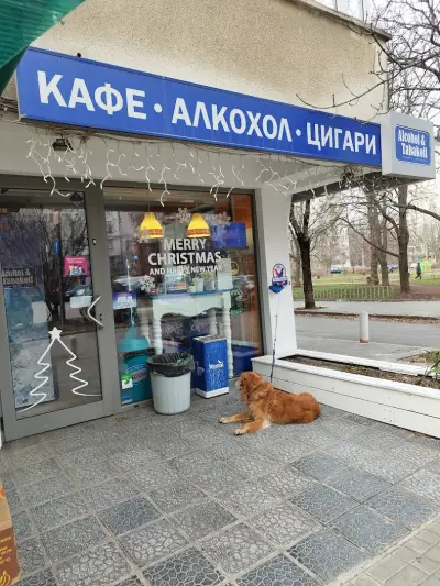 Магазин Alcohol & Tabakoff