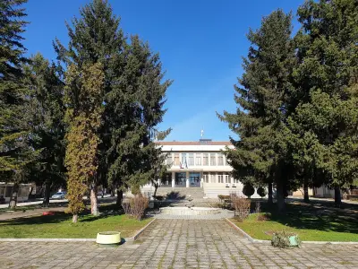 Кметство Лесичери