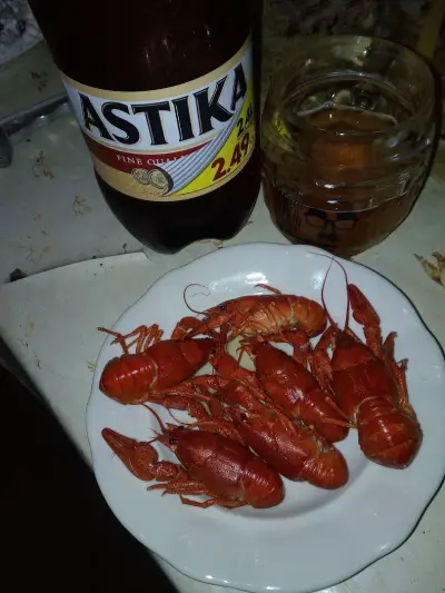 ЧИТАЛИЩЕ ИСКРА