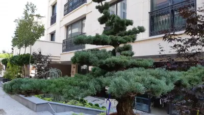 Озеленяване и Поддръжка на зелени площи Green Dream