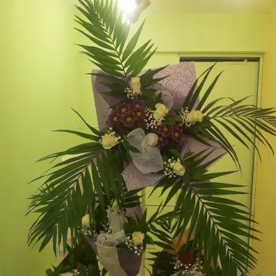 Aurora Boutique