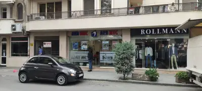 Лев Инс