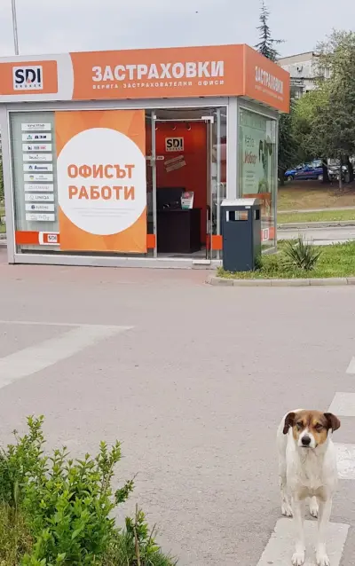 SDI брокер - Застраховки